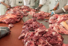 Jangan Salah Pilih! Ini 9 Ciri Daging Kurban yang Masih Segar dan Aman Dikonsumsi