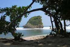 4 Spot Favorit Menikmati Pesona Pantai Ngudel, Malang dari Berbagai Sudut Pandang