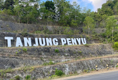 Pantai Tanjung Penyu, Surga Tersembunyi di Malang dengan Air Laut Hijau Jernih dan Spot Sunset Memikat