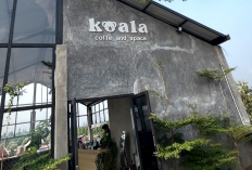 Menikmati Kopi dan Kuliner sambil Melahap Lanskap 360° Gunung Arjuno dan Semeru di Koala Coffee & Space