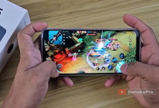 HP 2 sampai 2,5 Jutaan September 2026, Memori 256 GB Jadi Daya Tarik Utama