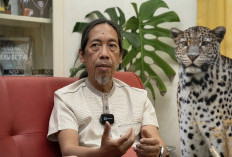 Macan Tutul Jawa Masih Bertahan, Tapi Sejumlah Bentang Alam Mulai Kehilangan Jejaknya