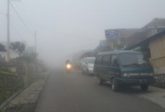 Tips Berkendara Melintasi Kabut Tebal agar Aman 