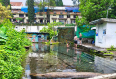 3 Sumber Mata Air di Kota Batu yang Segar, Ada Umbul Gemulo hingga Torong Park