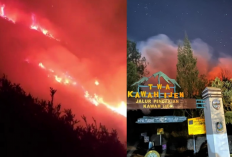 Karhutla Kawah Ijen Meluas, Jalur Pendakian Ditutup Total Mulai 4 September