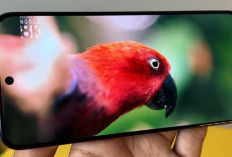 Rekomendasi HP Gaming 3 Jutaan Terbaik 2026: Performa Gahar, Baterai Badak, Anti Lag