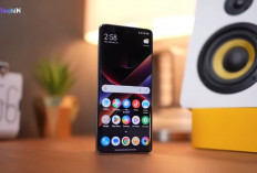 7 HP RAM 12 GB Termurah 2026, Poco X7 Pro dan Realme P3 5G Jadi Pilihan Terbaik