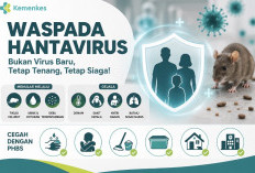 Ramai Hantavirus usai Kasus di Kapal Pesiar, Ini Penjelasan Lengkap Kemenkes RI