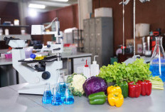 Food Genomics dan Nutrigenomik, Tren Pola Makan Berbasis DNA untuk Gaya Hidup Sehat yang Lebih Personal