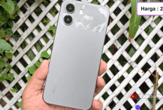 HP 2 sampai 2,5 Jutaan Makin Menarik, Layar 120 Hz hingga Kamera 50 MP Jadi Andalan