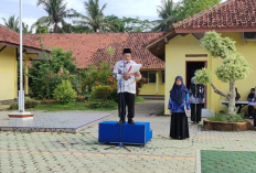 7 Contoh Teks Pidato HUT ke-81 RI 2026 untuk Upacara dan Acara 17 Agustus