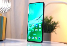 Harga Oppo Reno Series Juli 2026 Turun, Ini 8 Pilihan Terbaik dari Reno 12 F hingga Reno 15 F 5G