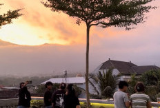 Nongkrong di Atas Awan! Koala Coffee & Space Batu Tawarkan View Arjuno dan Semeru