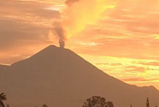 Gunung Semeru Erupsi 11 Kali, Kolom Abu Capai 1.000 Meter