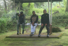 Kisah Sang Penjaga Rimba, Keteguhan dan Pengabdian di Balik Seragam Polisi Hutan