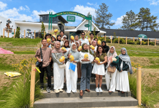 Malang Strudel & Farm Buka Wisata Petik Melon Premium Jepang di Kota Batu