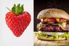 Ramai di Medsos:  Sandwich Gen Vs Strawberry Gen, Alih-Alih Saling Menghakimi, Mereka Malah Saling Becermin