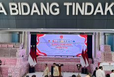 Rp13,2 T Diserahkan ke Negara, Tumpukan Uang Satgas PKH Menggunung di Kejagung
