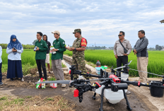 Babinsa Dampingi Petani Arjowinangun Semprot Pestisida Padi Pakai Drone