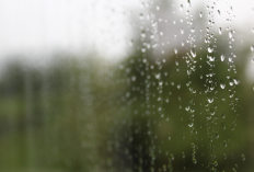 Cuaca Malang Raya 9 Januari 2026, BMKG Prakirakan Hujan Siang-Sore dan Hujan Lokal Tiba-Tiba di Perbukitan