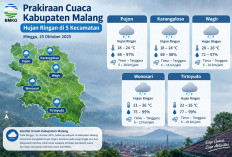Cuaca Kabupaten Malang 25 Oktober 2026: Hujan Ringan di 5 Kecamatan, Poncokusumo 17°C