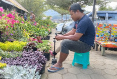 Penjualan Bunga Online di Pasar Sekarmulyo Batu dengan Aksi Host Live Dongkrak Pasar Lokal ke Kancah Nasional