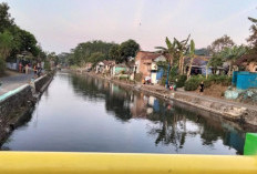 Hari Pemantauan Air Sedunia 18 September: Ini Sejarahnya, Ada Sungai di Malang dengan Nilai 55,06