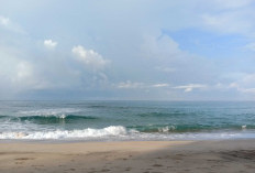 Laut Sehat, Negara Kuat: Refleksi Hari Kelautan Nasional 2 Juli untuk Masa Depan Maritim Indonesia