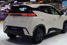 BYD Atto 1 Standar Bawa Baterai 30,08 kWh, Sekali Cas Klaim Tembus 300 Km