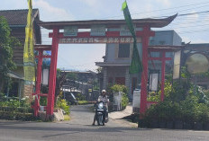 Kampung Sakura Sidomulyo Batu Makin Hidup, Omzet Tembus Rp5 Juta saat Weekend