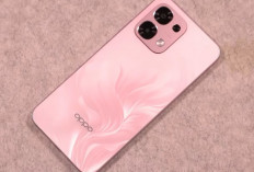 6 HP RAM 8 GB 2026 yang Layak Dipertimbangkan, Ada Baterai 8.000 mAh