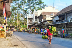 Harga Sayuran di Pasar Kedungboto Malang Naik, Transaksi Capai Rp100 Juta Sehari