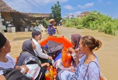 Banjir Terjang Demak, Jateng: 2.839 Jiwa Mengungsi, Ketinggian Air Mencapai 1,5 Meter