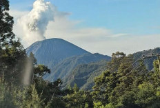 Semeru Masih Siaga Level III, Erupsi Berlanjut: Warga Dilarang Masuk Radius 13 Km