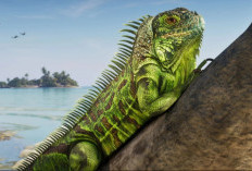 GTA 6 Ungkap 30 Screenshot Baru, Detail Iguana Bikin Penggemar Terpukau