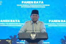 Panen Raya TNI di Malang, Prabowo Apresiasi Semangat Gotong Royong Bangun Swasembada Pangan