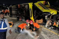 Hati-Hati Perjalanan Liburan Nataru! Bus Pariwisata Remuk Terguling di Tol Semarang, 15 Tewas 19 Luka