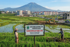 Alih Fungsi Lahan Sawah di Malang Raya Disorot, Pemkab Perketat Perlindungan LSD demi Ketahanan Pangan