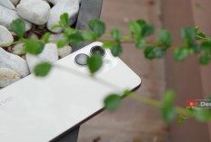 Baterai 8.000 mAh Jadi yang Terbesar, Ini 9 HP Rp2 Jutaan Pilihan 2026