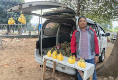 Pak Ari, Pedagang Nanas yang Bertahan 8 Tahun di Kota Batu: dari Lapak hingga Pasok Industri