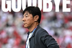 Menilik Kronologi Kasus Ulsan HD: Dugaan Kekerasan Shin Tae-yong dan Pengakuan Bek Jeong Seung-hyun