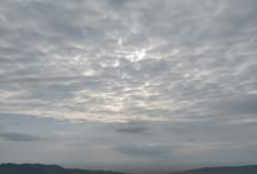 Prakiraan Cuaca Malang Raya 26 Januari 2026: Potensi Hujan serta Kabut di Perbukitan Kabupaten dan Batu