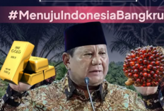 Dasco Yakin Rupiah Bakal Menguat, BEM SI Kepung Bundaran HI Besok Usung #MenujuIndonesiaBangkrut 