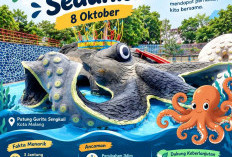Hari Gurita Sedunia 8 Oktober: Sejarah dan 526,67 Ton Tangkapan dari Malang