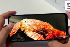 Cari HP NFC Rp2 Jutaan? Ini Pilihan untuk Pengguna Aktif dan Suka Multitasking