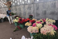 Permintaan Bunga Potong Kota Batu Naik 70 Persen usai Suro, Bali Jadi Pasar Terbesar