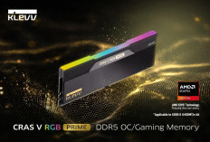 KLEVV Rilis RAM DDR5 CRAS V RGB PRIME, Kecepatan hingga 8.000 MT/s
