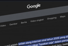 Ketik Angka 67 di Google, Layar Mendadak Berguncang, Easter Egg Viral! 