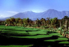 Cuaca Gunung di Malang 22 September: Kawi 8 Derajat, Perairan Selatan Gelombang 2,5 Meter