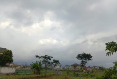  Cuaca Kota Batu 15 Oktober 2026: Berawan di 3 Kecamatan, Suhu 16–29°C